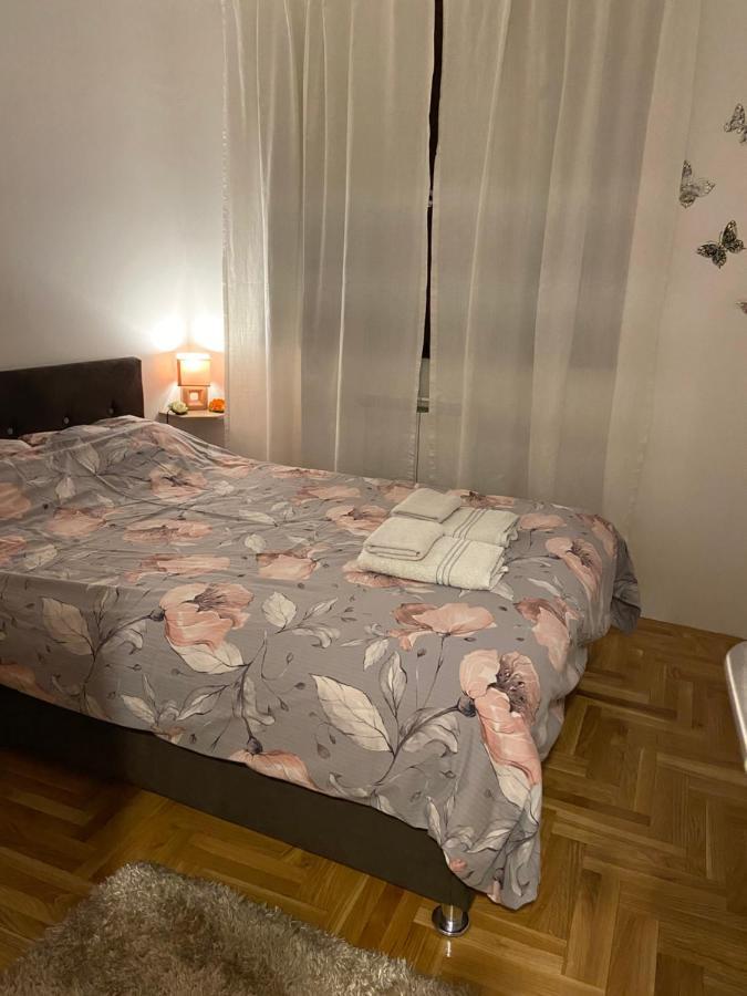 Apartman Manja Lukavica Extérieur photo
